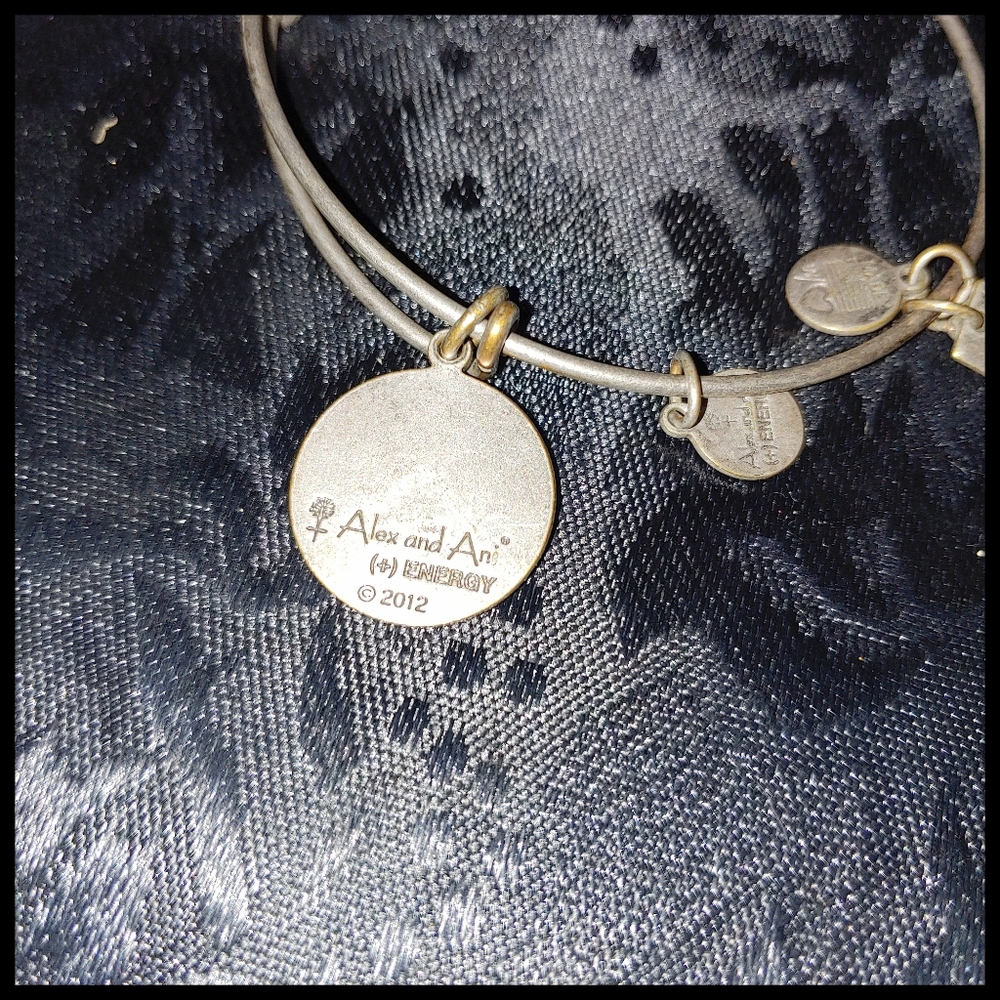 Alex and Ani Energy Infused Bear Paw Bracelet - Picture 3 of 5